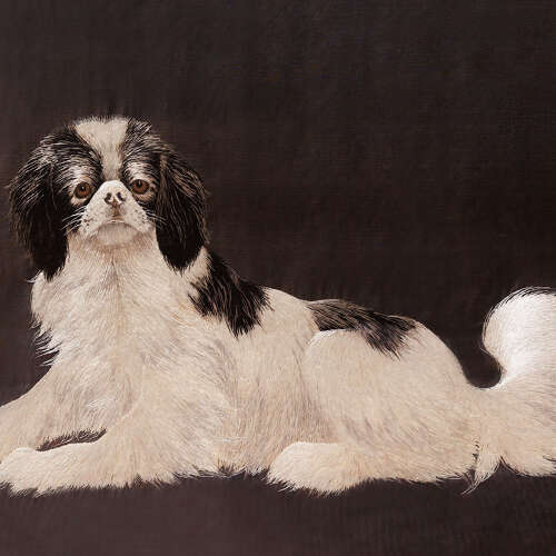 Japanese silk embroidery of a Chin dog Meiji period